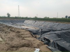 河北深州化粪池土工膜案例